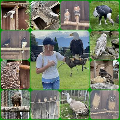 Source: Alion Institue (Tyasha Alion)